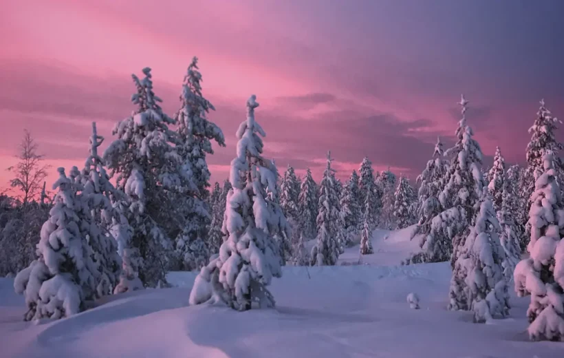 Kuzey Işıkları ve Lapland